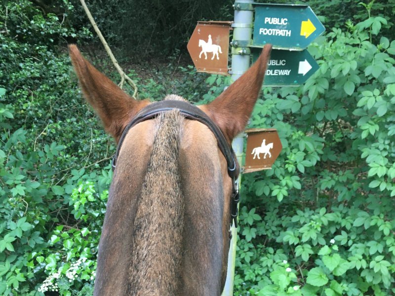 Countryside signage